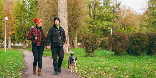 The Power of Daily Walking: Embracing a Simple Yet Powerful Exercise Routine