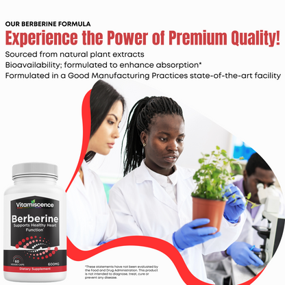 Vitamiscence Berberine, One Pack, 600mg, 60 Capsules, Supports Heart Function, Antioxidant, Support Immune System