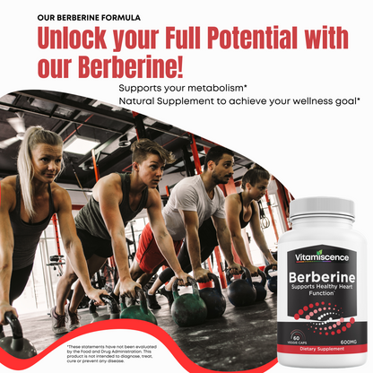 Vitamiscence Berberine, One Pack, 600mg, 60 Capsules, Supports Heart Function, Antioxidant, Support Immune System